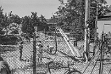AA023.jpg