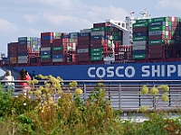 Cosco Container  am Willkommenhöft