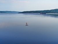 A7308260