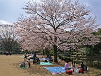 PICT4362