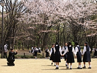 PICT4364