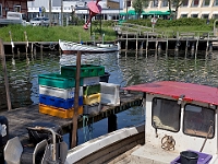 IMG 9709