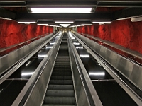 IMG 5564