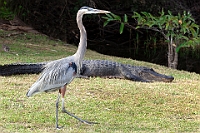 IMG 8592