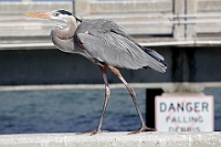 IMG 8831